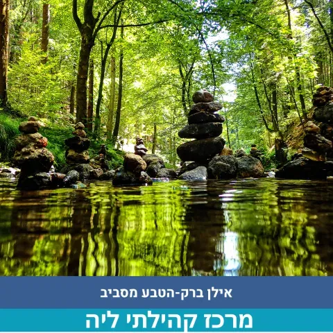 הטבע מסביב