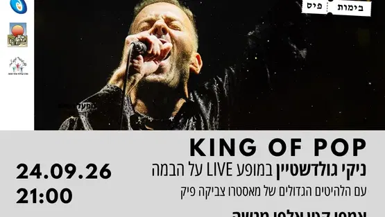 ניקי גולדשטיין LIVE