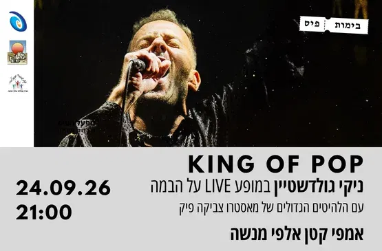 ניקי גולדשטיין LIVE