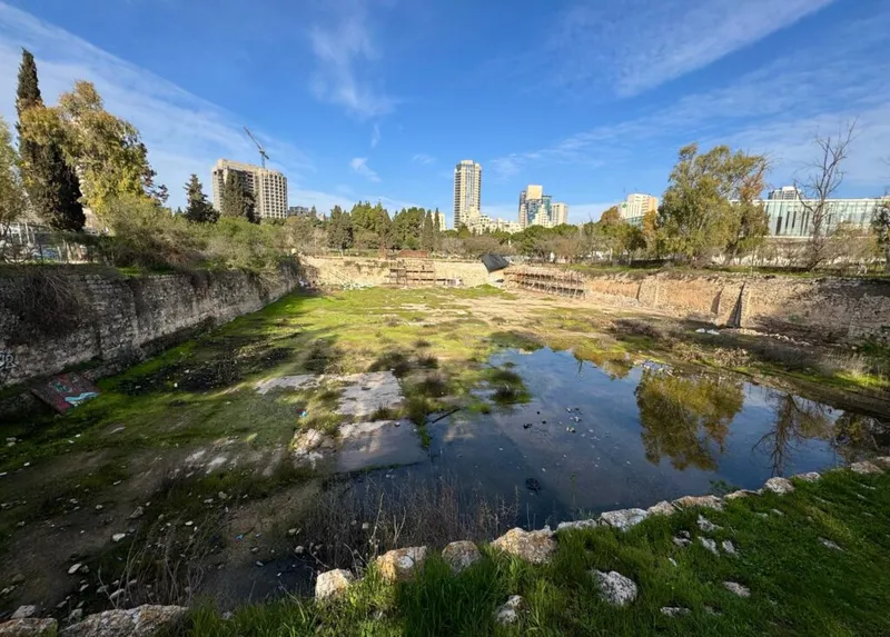 שישי ירושלמי ברחביה – מסע חווייתי בין המורשת הטבעית להיסטוריה החבויה של השכונה