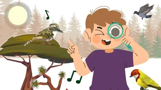 מפגשי צפרות לחובבי הציפורים