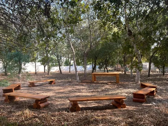 סיור לילה בחורשת האלונים ( בן גוריו סמוך לבית קובי)
