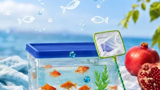 פעילות לילדים: סדנת אקווריום ודגים לתשליך
