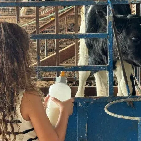פסטיבל חלב ודבש במשק דוגמא – חוויה משפחתית בסוכות