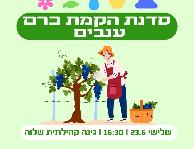 הקמת כרם ענבים (הדליה לגפנים) בגינה קהילתית פועלי הרכבת