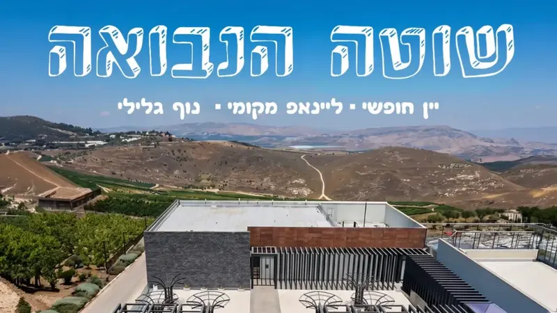 שוטה הנבואה