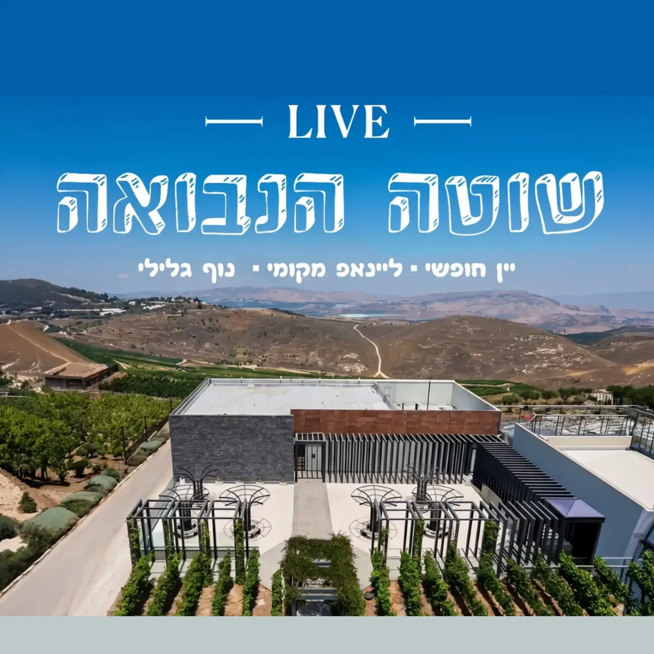 שוטה הנבואה