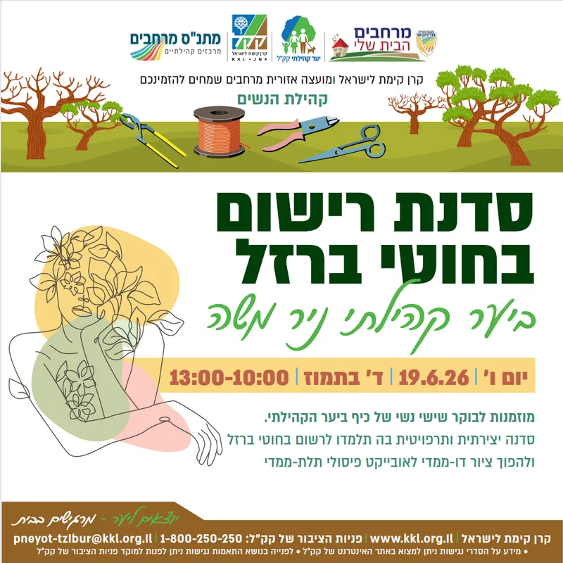 סדנת רישום בחוטי ברזל