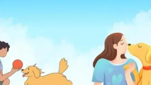אילוף כלבים בגובה העיניים