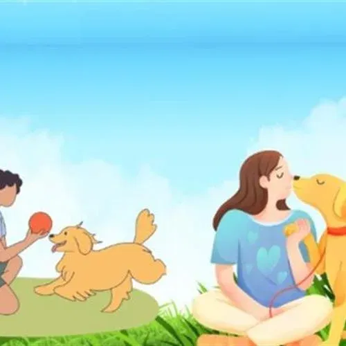 אילוף כלבים בגובה העיניים
