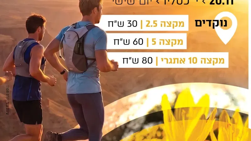 מירוץ המדבר