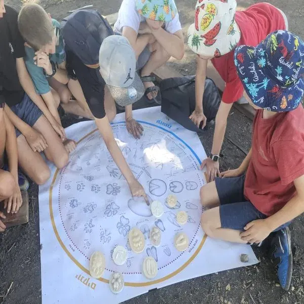 סדנת גששות