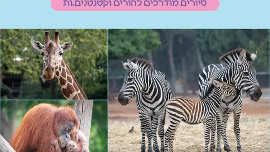 סיור מודרך בספארי להורים וקטנטנים.ות לגילאי שנה-שלוש