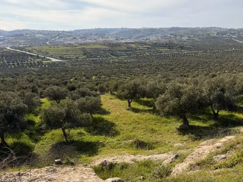 סיור ייחודי אל תל תקוע, בדרישה: הצילו את התל