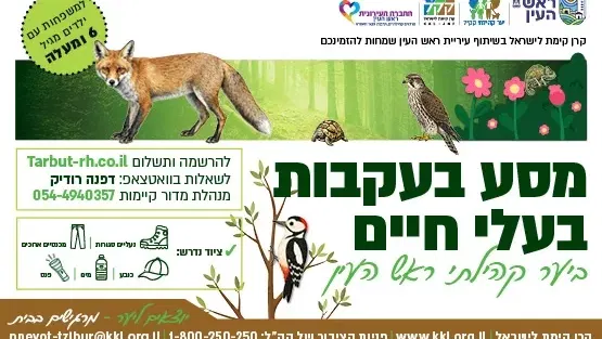 סיור בעקבות בע"ח