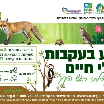 סיור בעקבות בע"ח