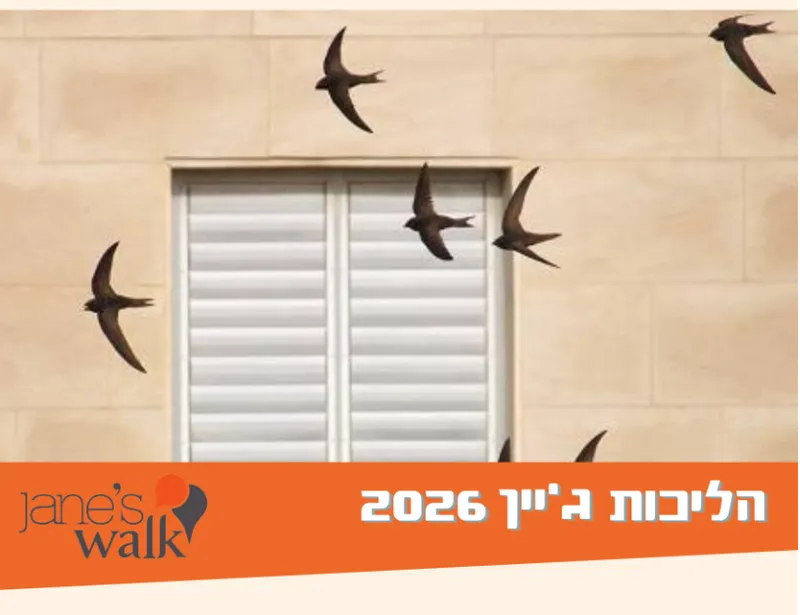 בונים בית לסיסים בגבעתיים