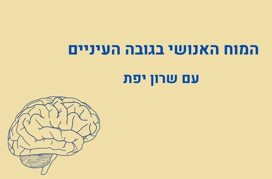 המוח האנושי בגובה העיניים