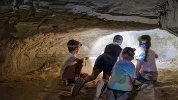 הרפתקה לתוך הלילה - סיור מודרך בפארק תמנע