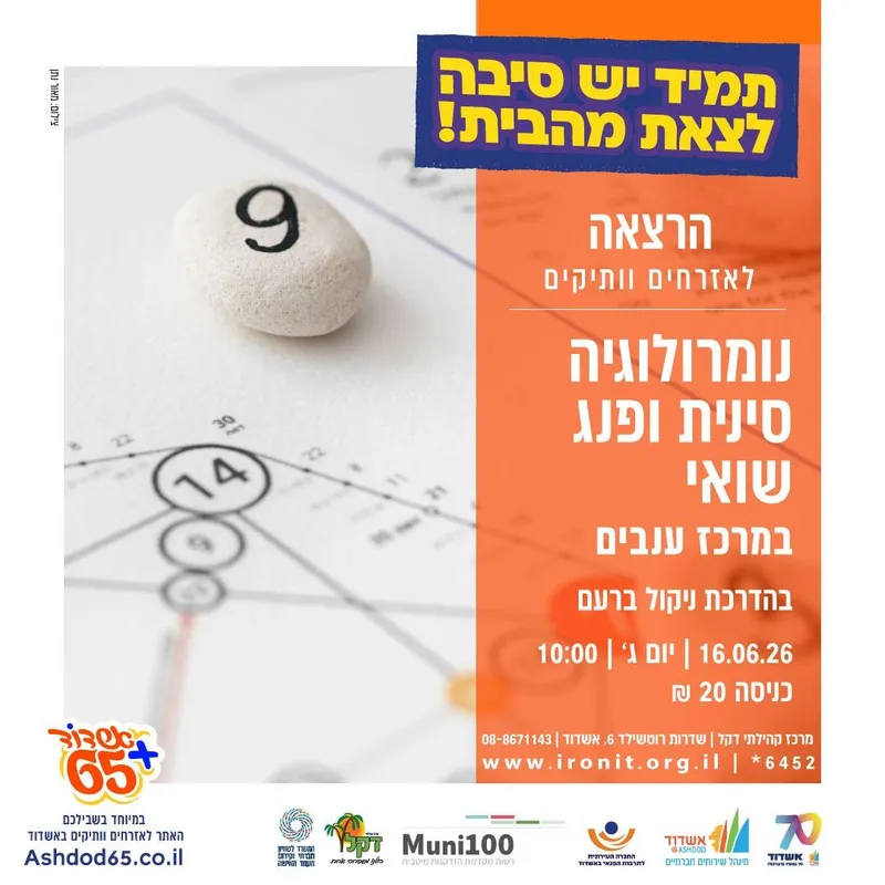 נומרולוגיה סינית ופנג שוואי | בהדרכת ניקול ברעם