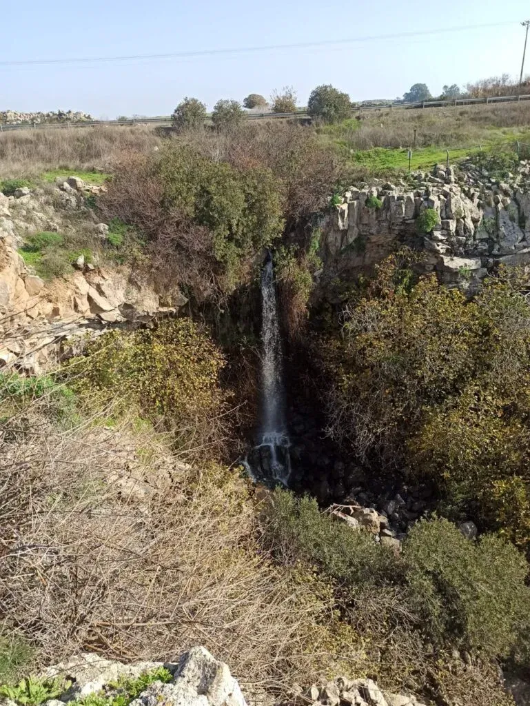 פריחה וזרימה במפל עיט