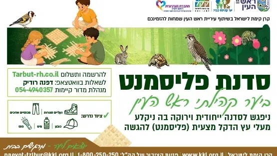 סדנת פליסמנט