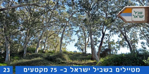 שביל ישראל: מקטע 23- מחדרה לעמק חפר !