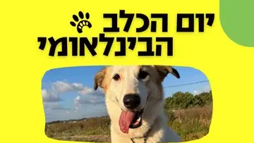 יום הכלב הבינלאומי