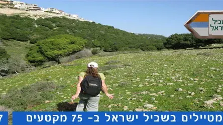 שביל ישראל קטע 17 חציית הכרמל עד עין הוד