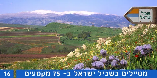 שביל ישראל קטע 16 מטפסים על הכרמל