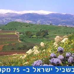שביל ישראל קטע 16 מטפסים על הכרמל