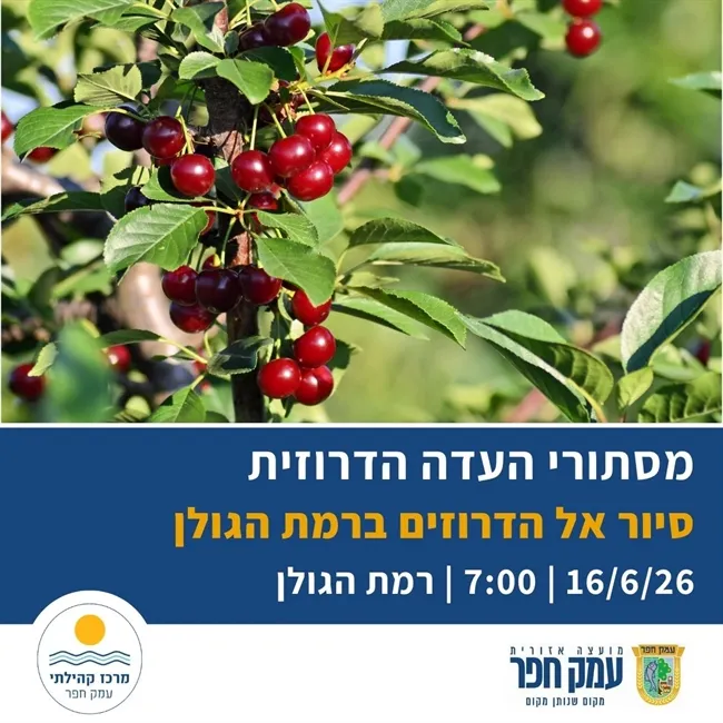 גברים בתנופה | מסתורי העדה הדרוזית - סיור ברמת הגולן