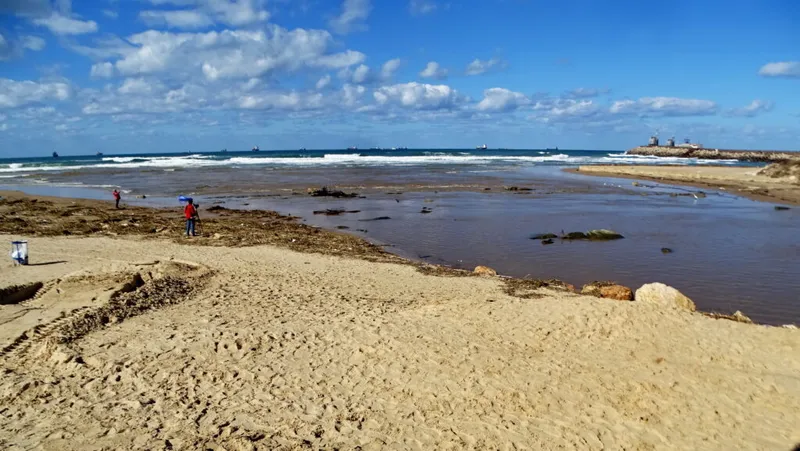 טיול צפרות לפני שקיעה בנחל לכיש: אל עופות המים