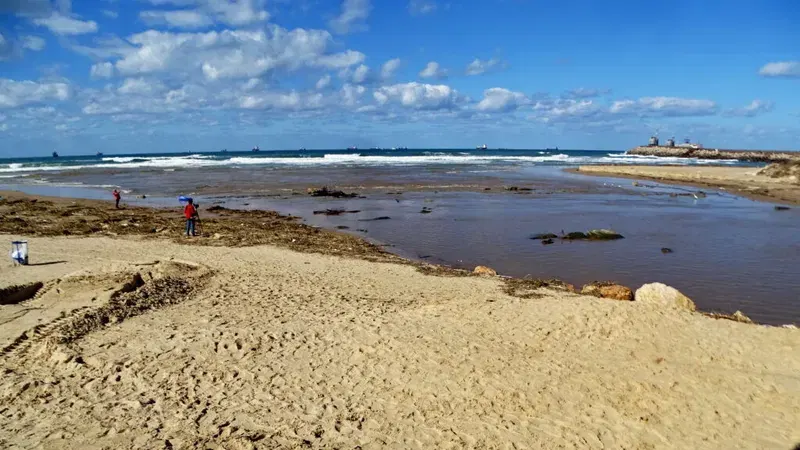 טיול צפרות לפני שקיעה בנחל לכיש: אל עופות המים