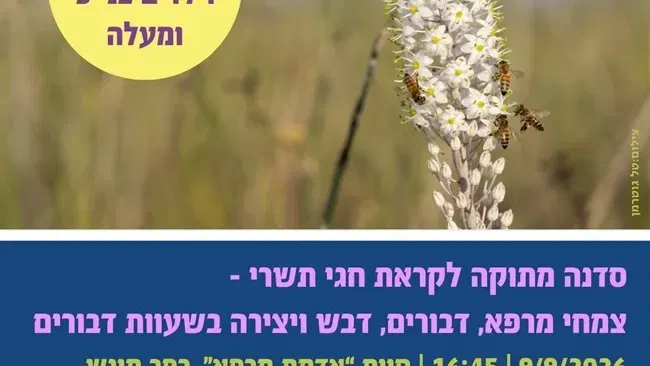 סדנה מתוקה לקראת חגי תשרי בכפר מונש