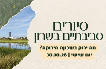 מה ירוק בשכונה הירוקה?