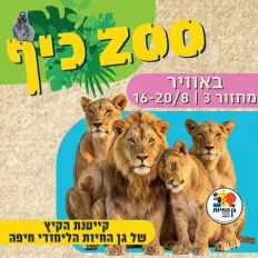 ZOO כיף! מחזור 3- אוויר