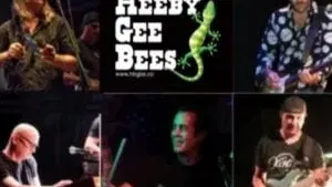 ההיביג'יביז - The Heeby Gee Bees