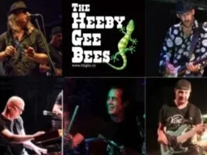 ההיביג'יביז - The Heeby Gee Bees