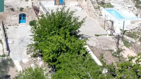 פסטיבל האביב נחל ציפורי