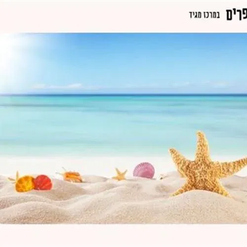 השירים המשחקים - מגיד