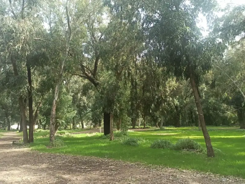 קטנטנים לאורך נחל שורק – טיול טבע לקטנים ולגדולים