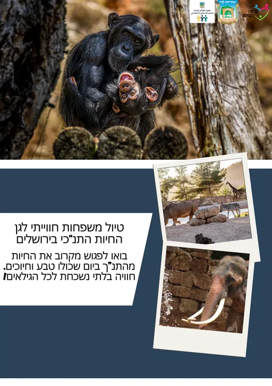 טיול משפחות לגן חיות התנ"כ' בירושלים