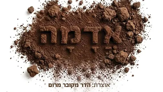 תערוכת אדמה - שיח גלריה