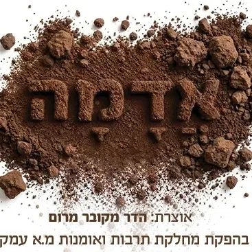 תערוכת אדמה - שיח גלריה