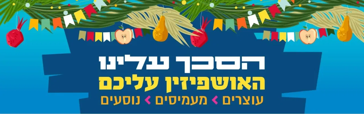 חלוקת סכך סוכות תשפ"ז