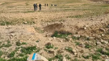 חוצה ישראל ממזרח למערב בדגש בוטני