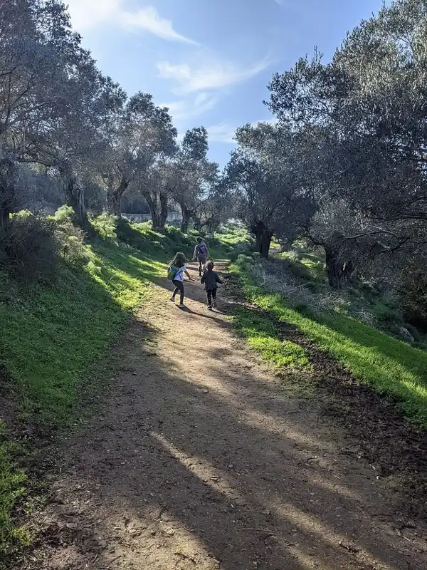 ראש השנה בגליל