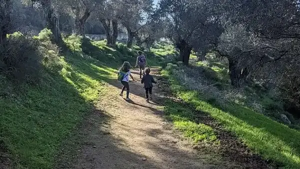 ראש השנה בגליל