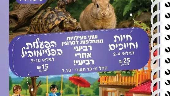 פליימוביל
